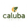 Caluba Sementes
